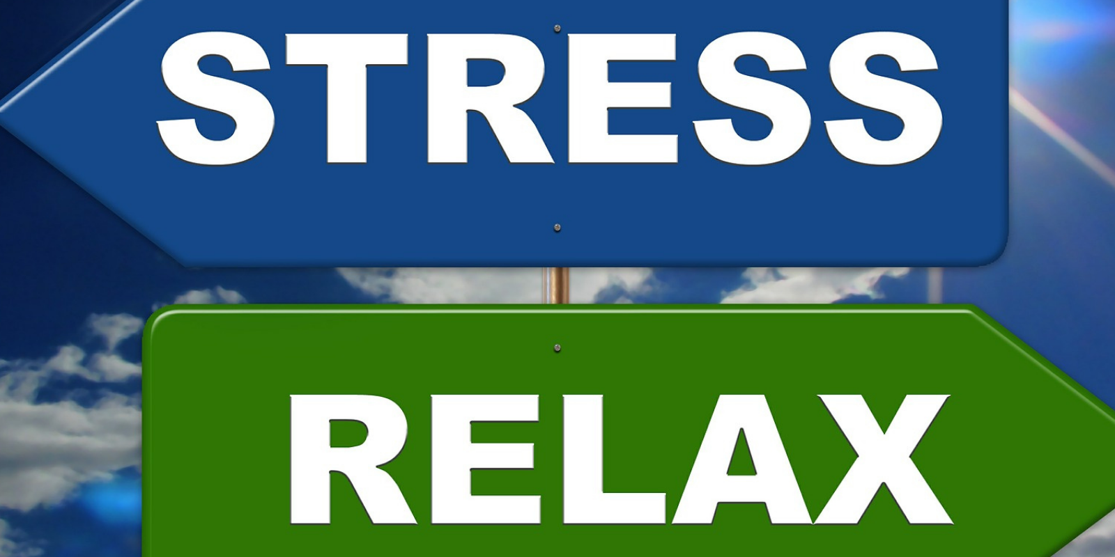 stress caregiver stress caregiver