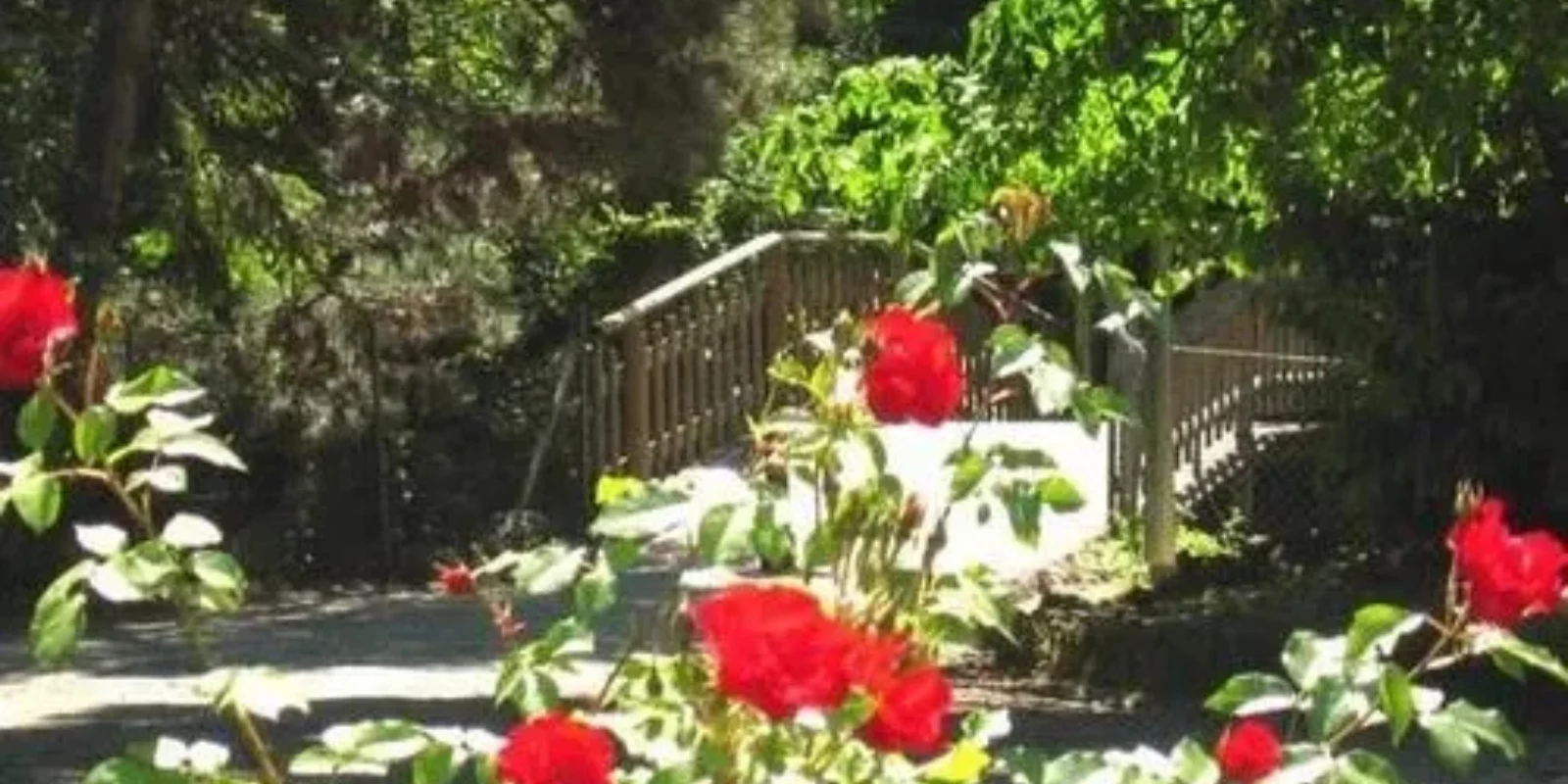 Vacanze-per-anziani-Emilia-Roamgna