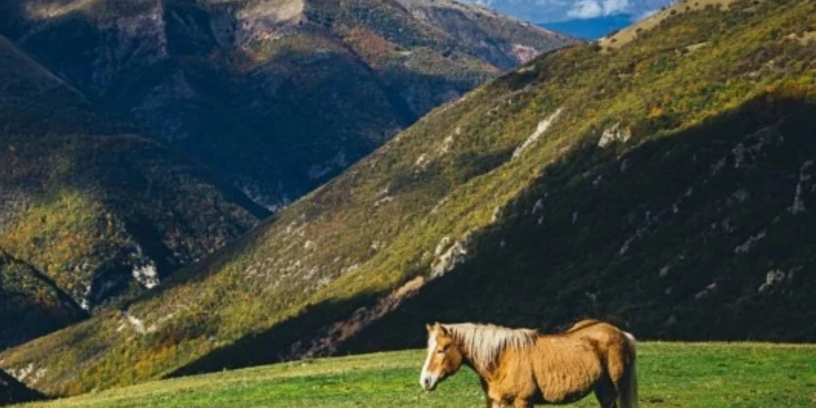 Vacanze per anziani nelle marche