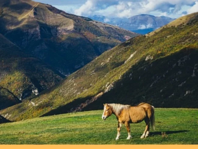 Vacanze per anziani nelle marche