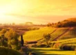 vacanze per anziani toscana