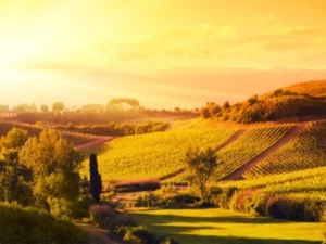 vacanze per anziani toscana