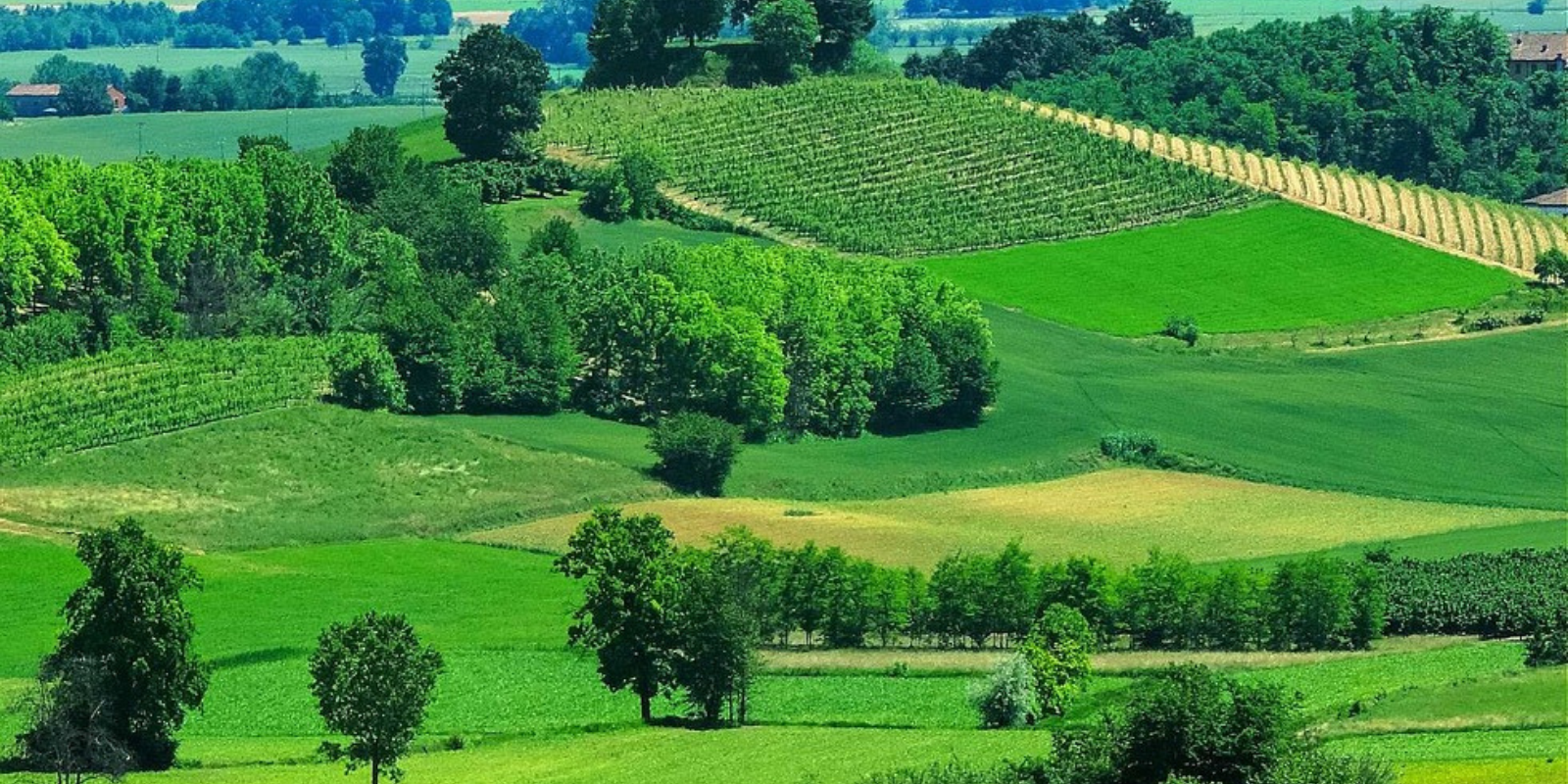 vacanze per anziani in piemonte