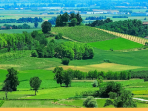 vacanze per anziani in piemonte